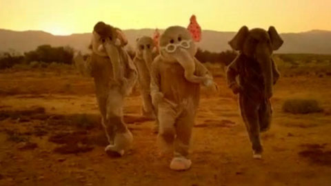 Coldplay - Paradise Coldplay - Paradise