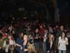 Pampelonne-26-11-2012 (39)