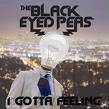 Black Eyed Peas - I Gotta Feelin