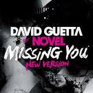 David Guetta - Missing You (ft. Novel)