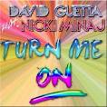 David Guetta - Turn Me On (ft Nicki Minaj)